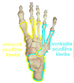 beh bolest rehabilitacia Orac