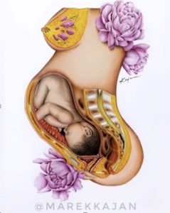 fyzioterapia Lehotova Orac