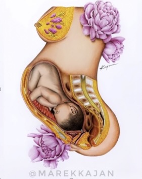 fyzioterapia Lehotova Orac